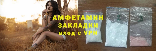 стаф Вязьма