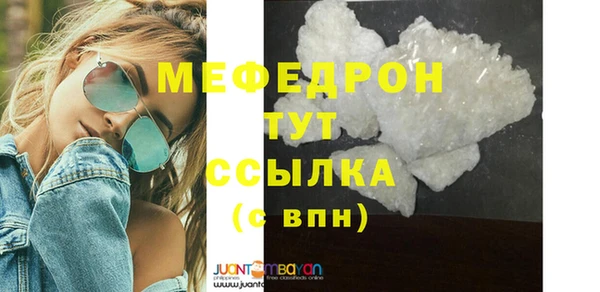 стаф Вязьма