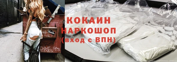стаф Вязьма