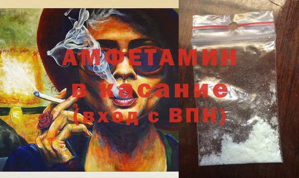 стаф Вязьма