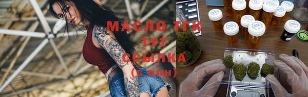 стаф Вязьма