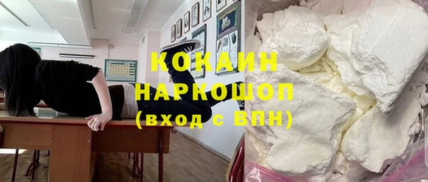 стаф Вязьма